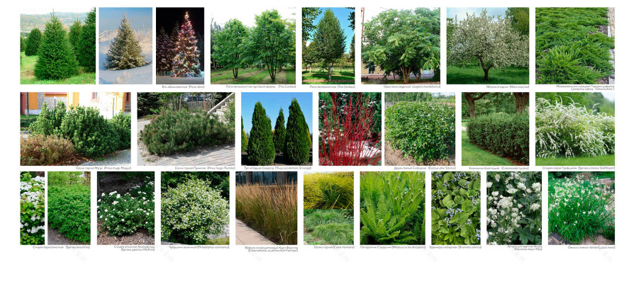 ЖК Шервуд小区环境整治丨俄罗斯巴尔瑙尔丨未明确体现-23