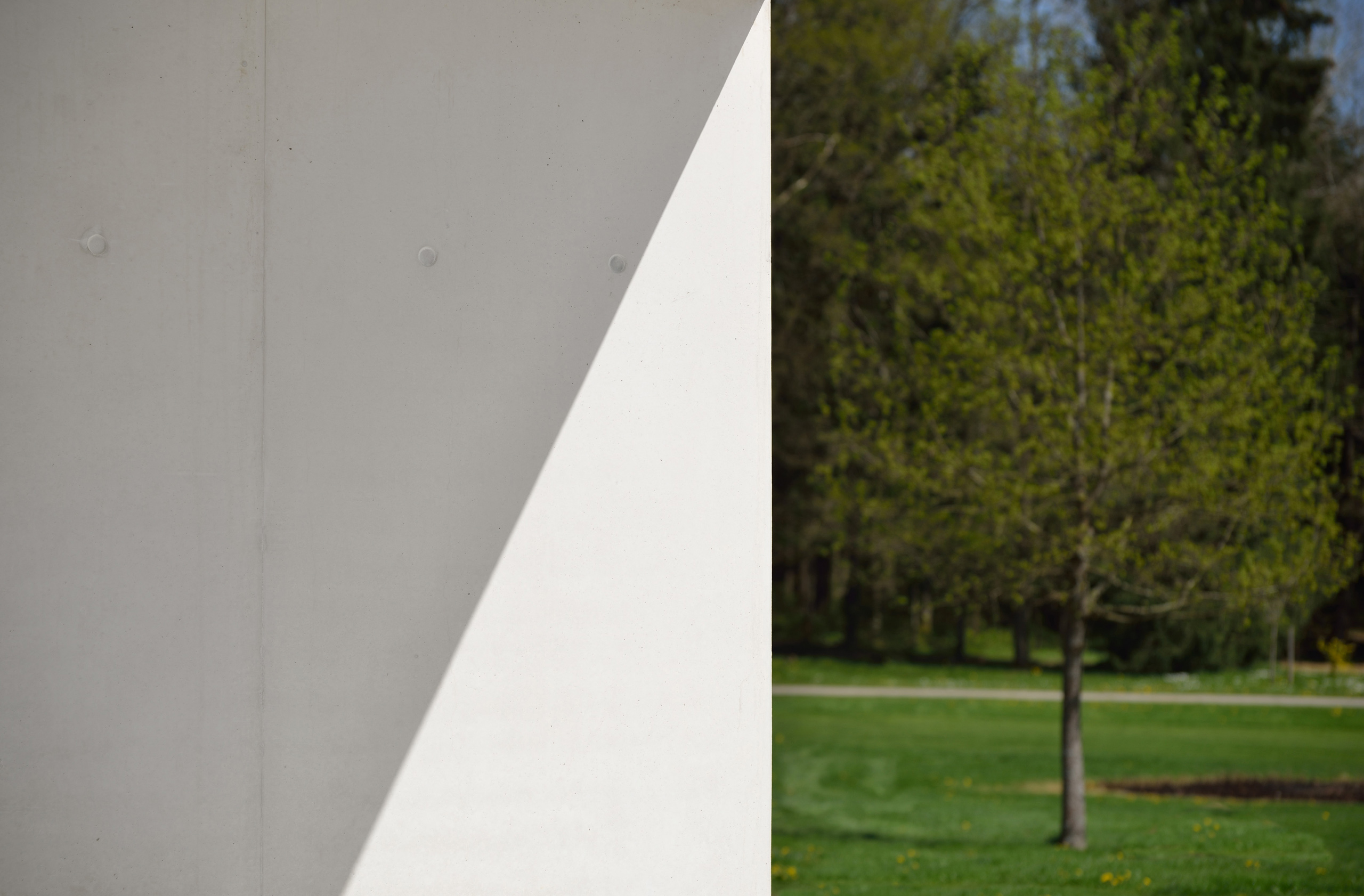 新西兰总部大楼 | 自然与人工的和谐交融-31