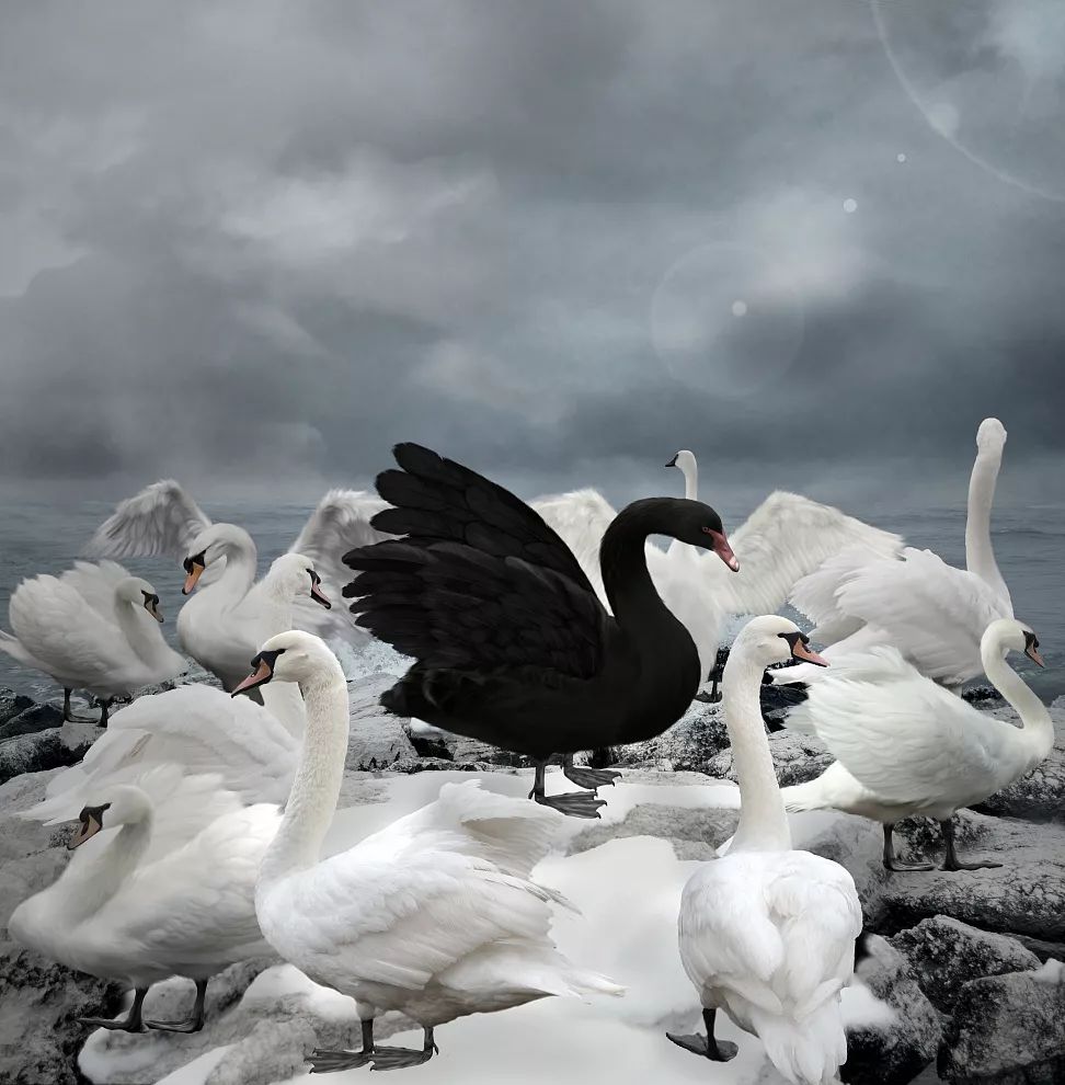 简约探险,气质大宅-11