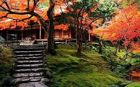 日本庭院设计 | 营造幽玄恬静的氛围-15