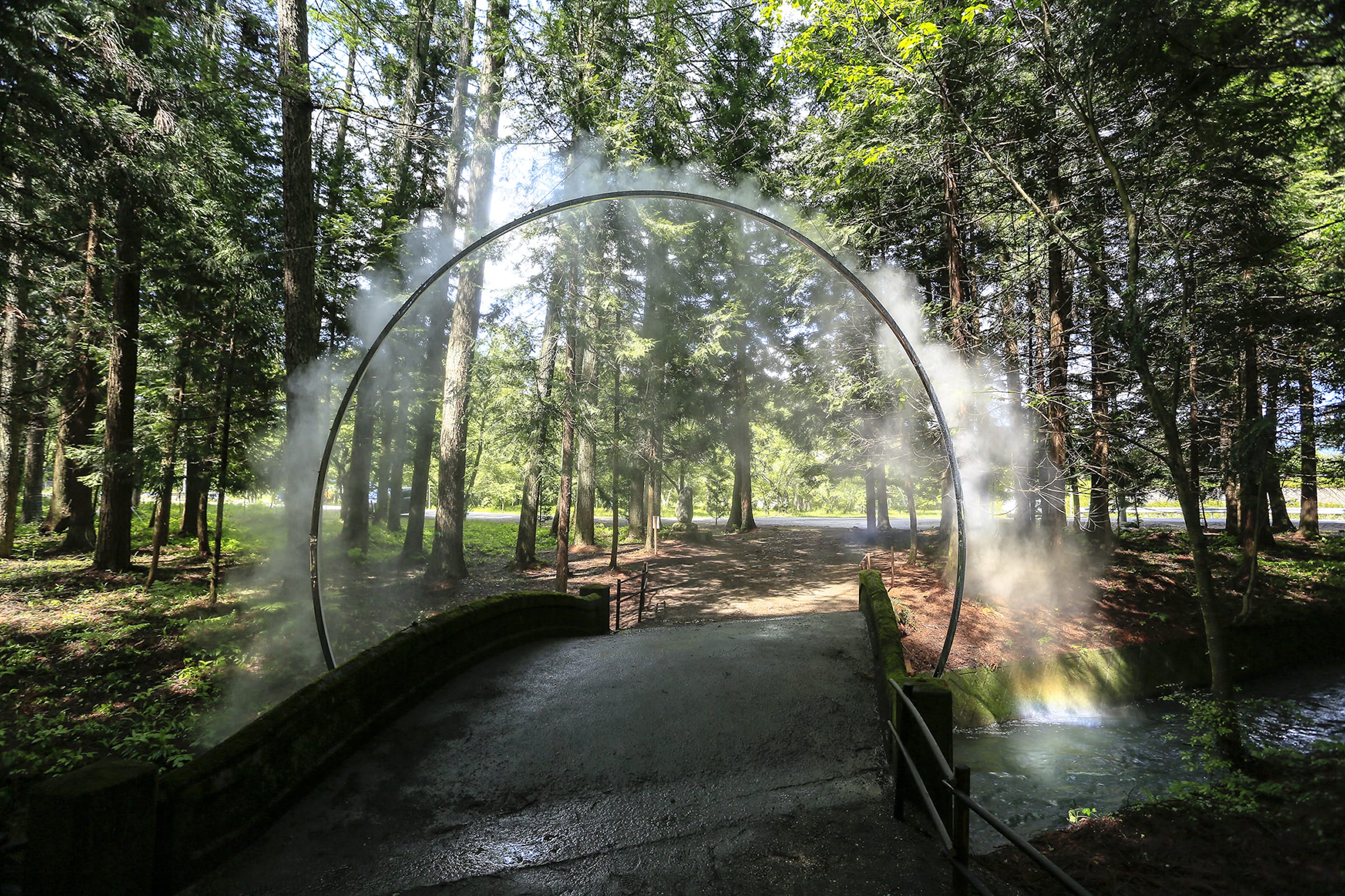 阿克零·尼姆布斯,詹姆斯·塔普斯科特-3