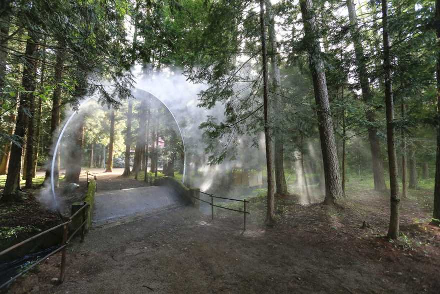 阿克零·尼姆布斯,詹姆斯·塔普斯科特-2