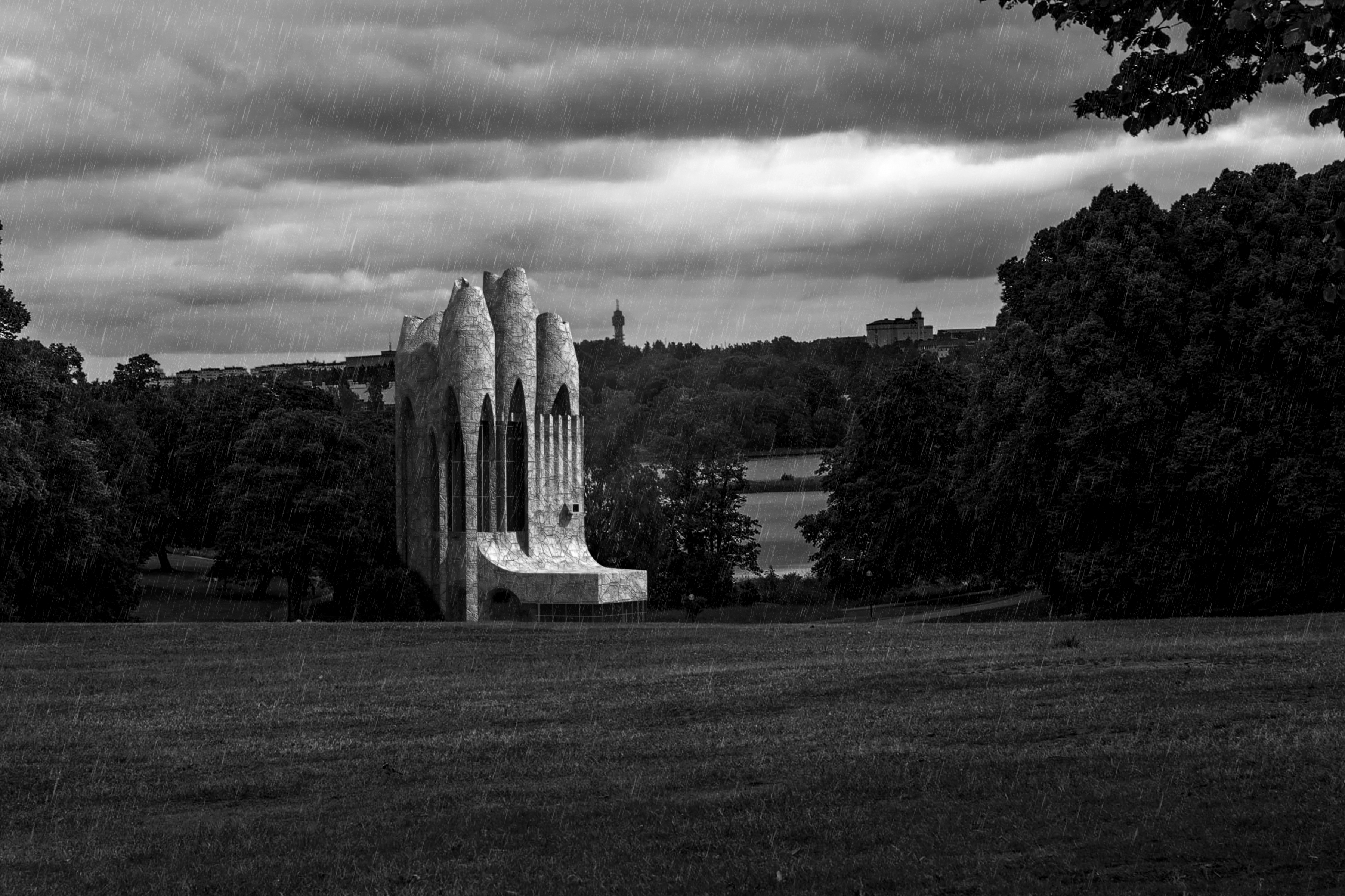 丨美国丨Endemic Architecture-7