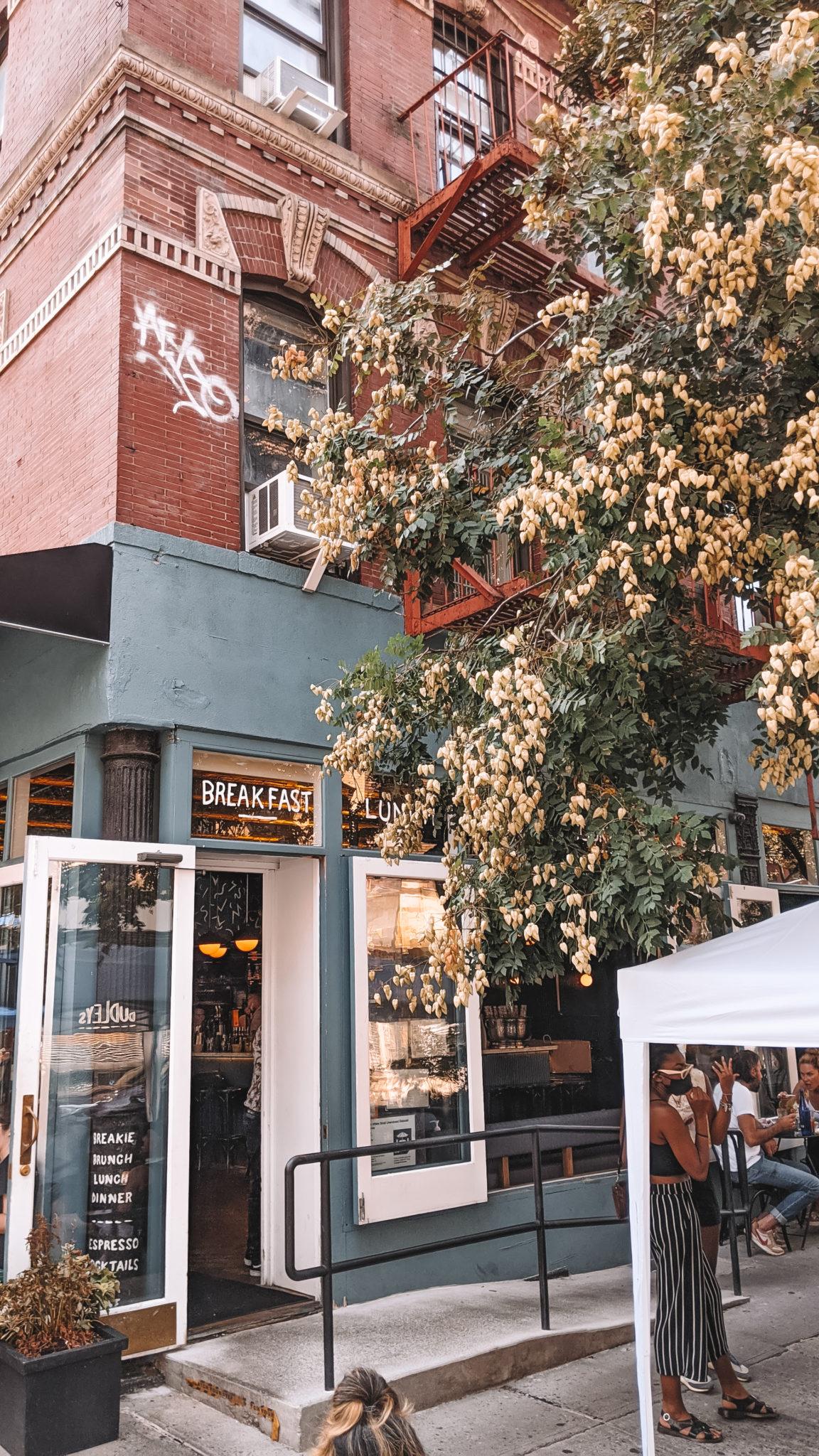 Local snapshot - New York | Woods Bagot-23