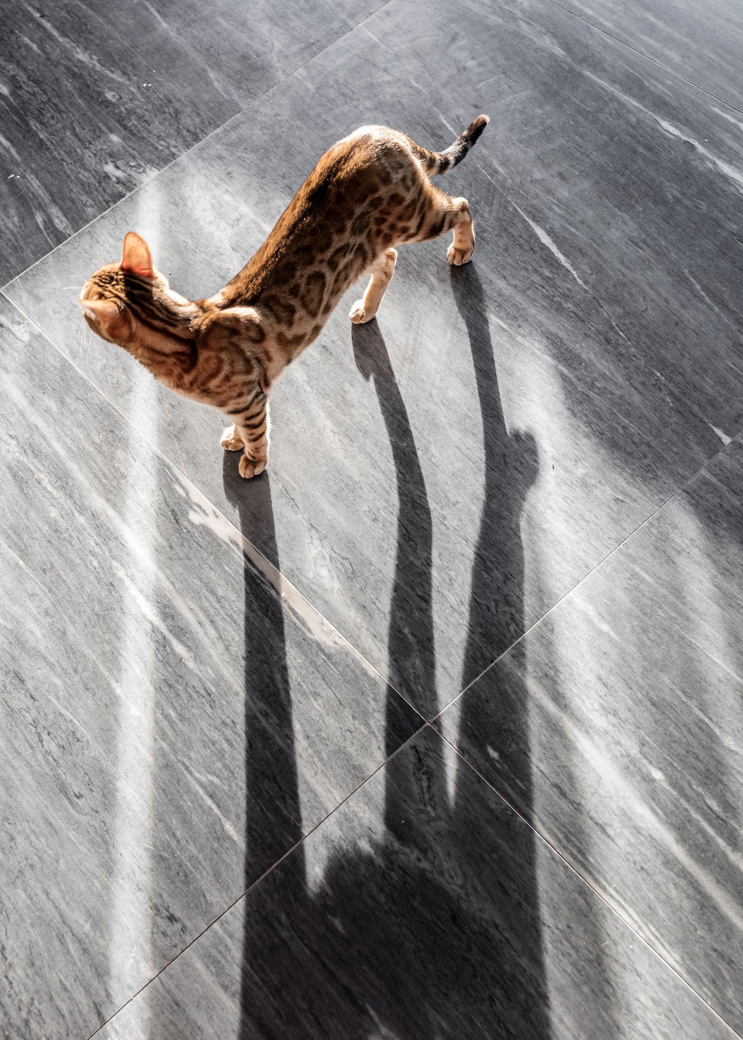 瑞士湖景“全景郊区”房-18