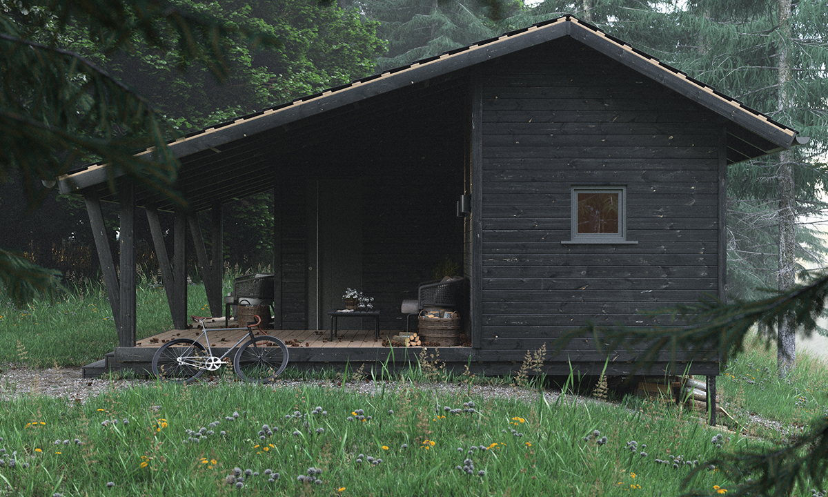 Morning in the forest-2