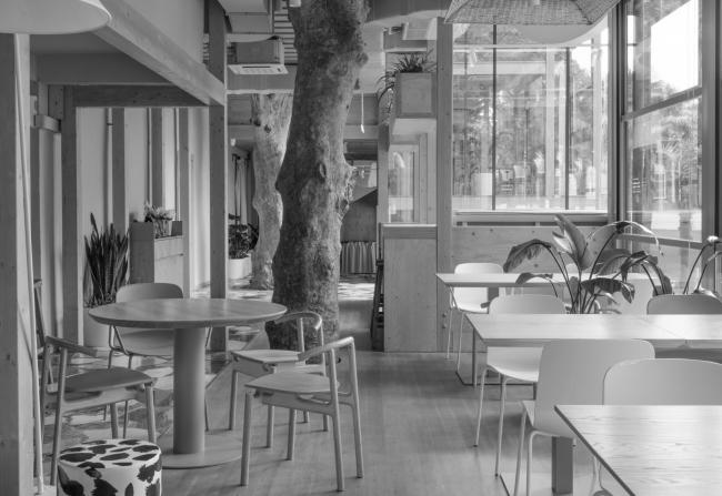 Кафе Фонтан（“喷泉”咖啡馆）丨俄罗斯丨Согрет（“温暖”工作室）-20