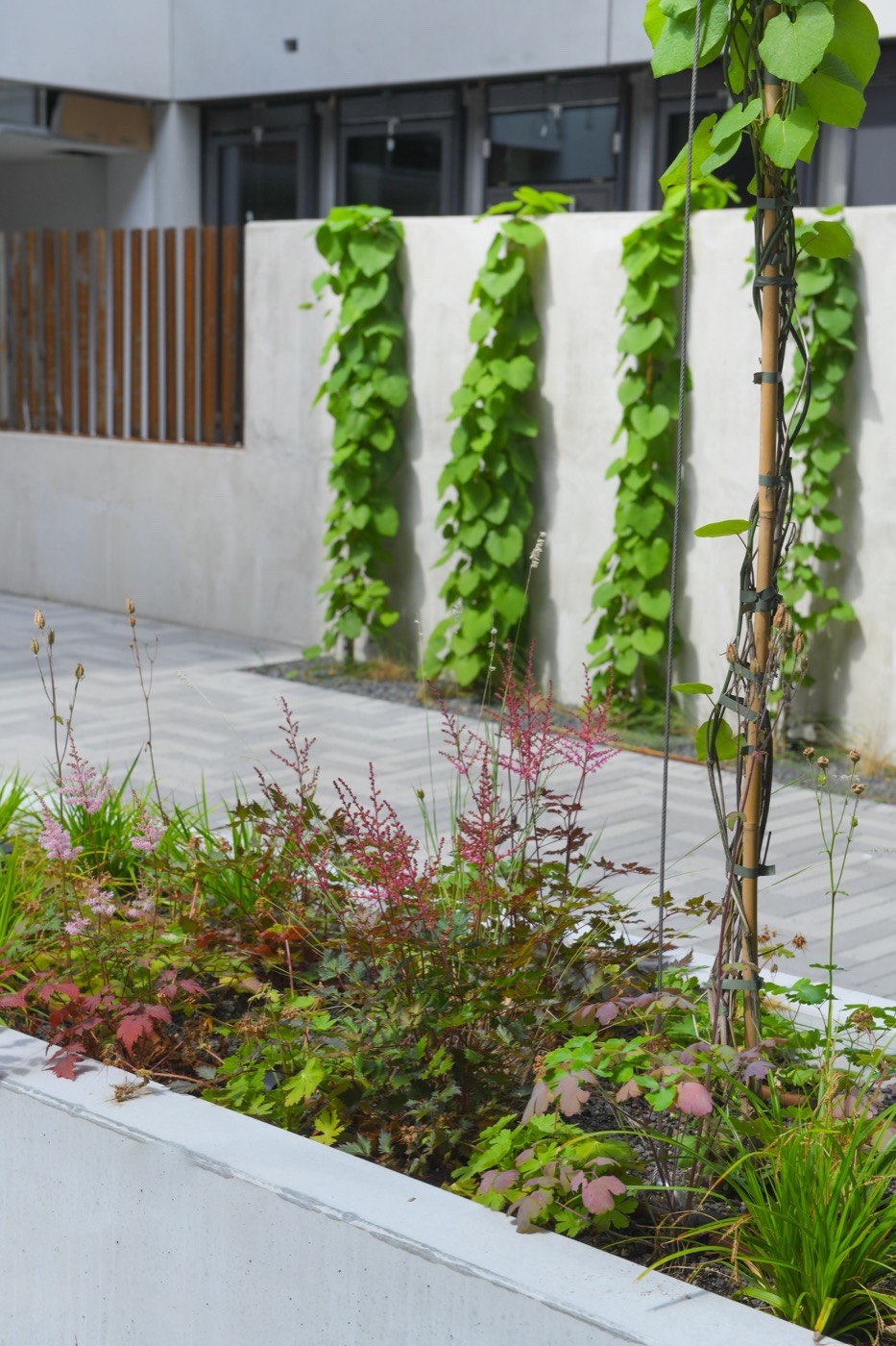 柏林 Kreuzberg 商业庭院与屋顶露台丨德国柏林丨Thomas Hillig Architekten-10