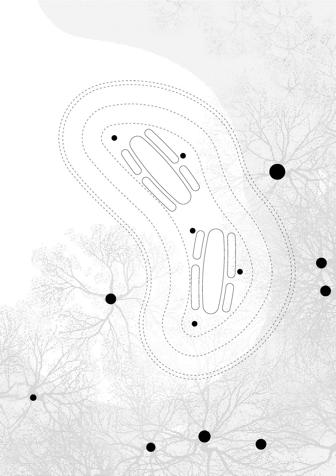 铝质洞穴丨泰国曼谷丨HAS Design and Research-104