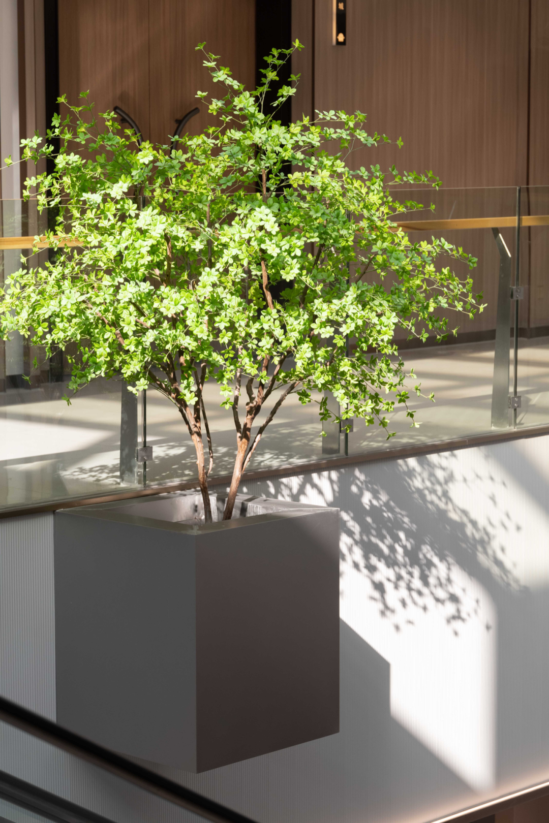 宝山时代大厦·宝山荟丨中国深圳丨LB凌奔设计-28