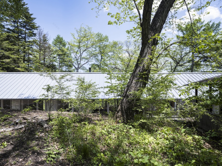 轻井泽别墅丨日本丨Takahiro Endo Architects Office-34