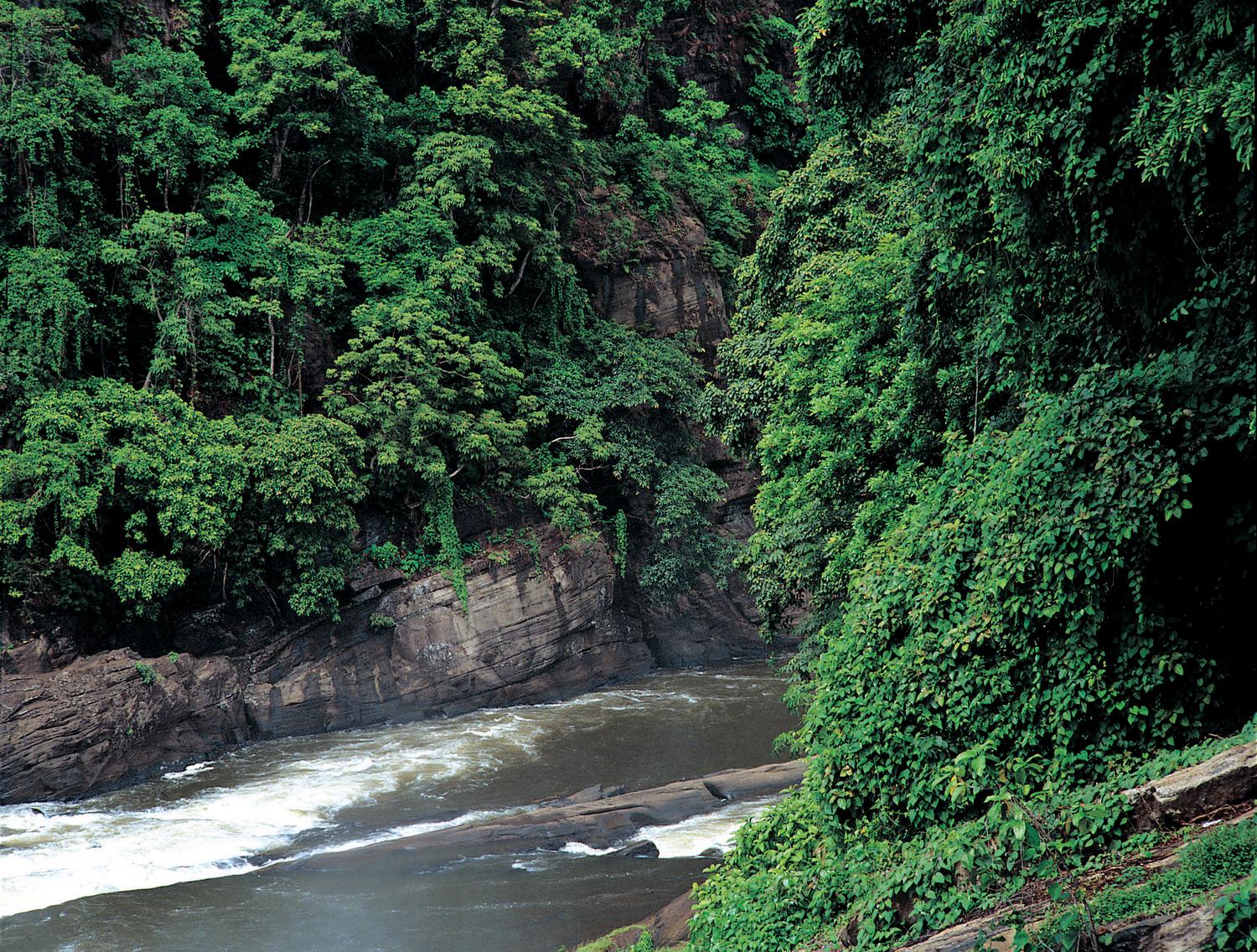 )Le Meridien Kochi, Cochin, India-23