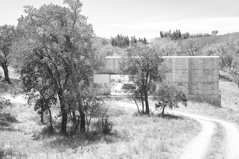 Pereiro Do Cha 住宅丨葡萄牙丨Valerio Olgiati-22