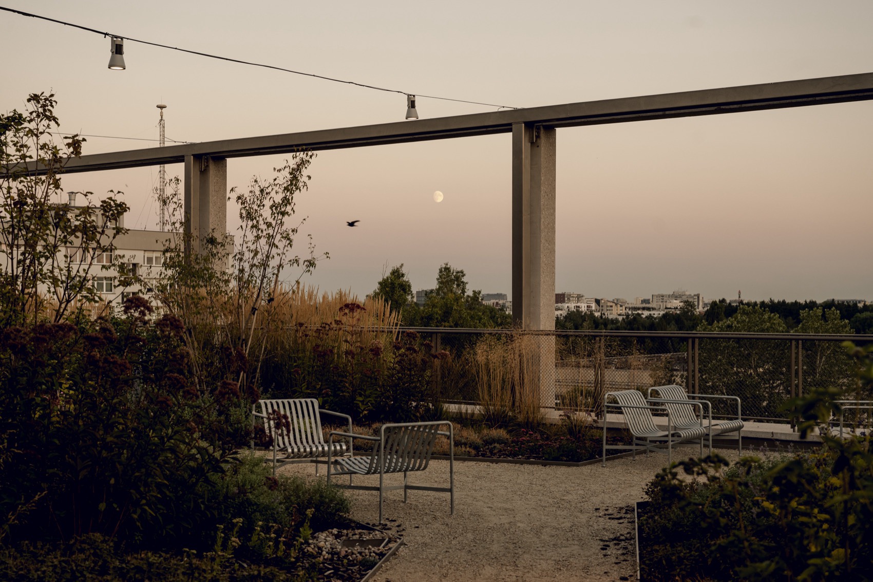 华沙大学心理学院新院楼丨波兰华沙丨Projekt Praga-80