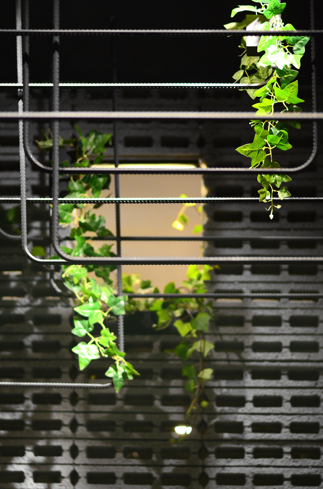 常春藤咖啡馆-38