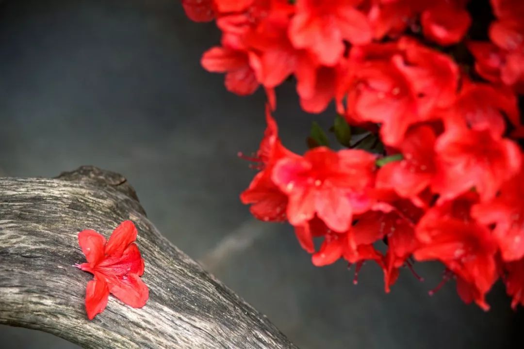 古色之美 | 传统色彩的现代演绎-44