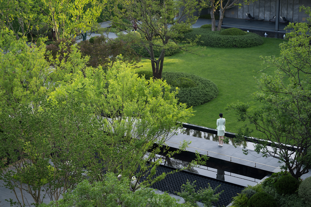 乘着旷野的风 | 中国铁建花语江南-152