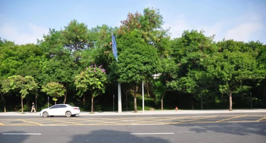 深圳红树林湿地博物馆丨中国深圳丨URBANUS都市实践+中国城市建设研究院无界景观工作室-27