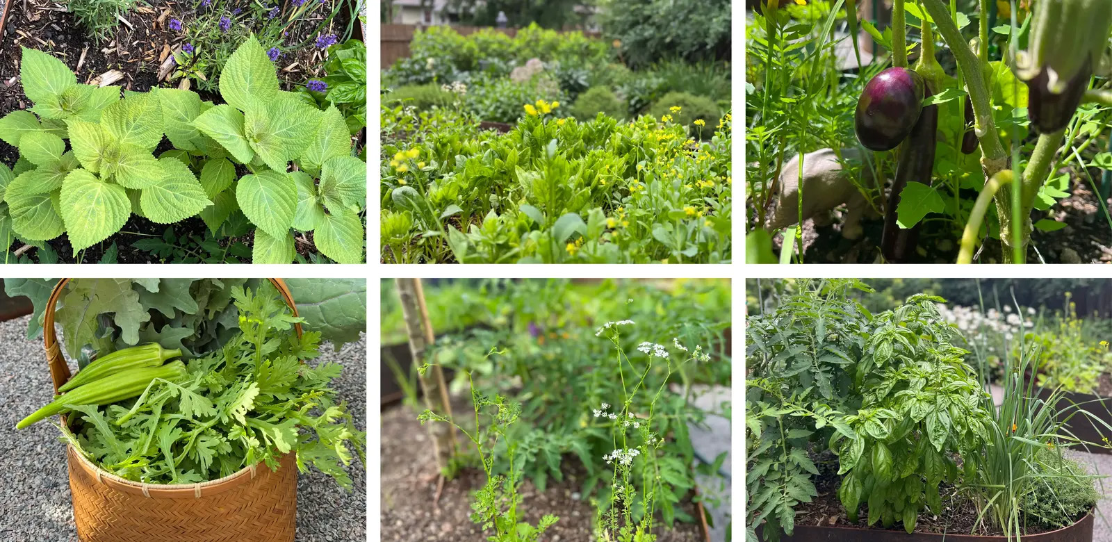 小项目（The Little Project）丨美国丨Ping Design LLC-47