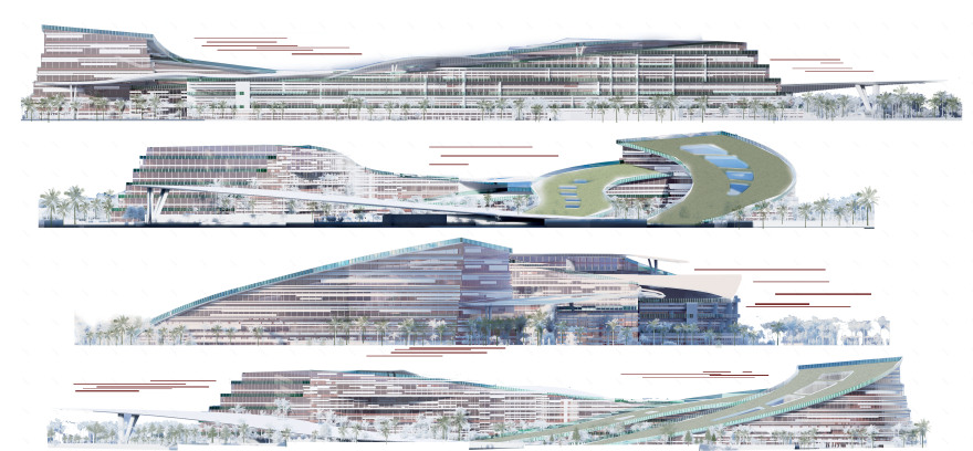 BIOTECH(亲生物技术园)丨埃及丨艾斯尤特大学工程学院-39