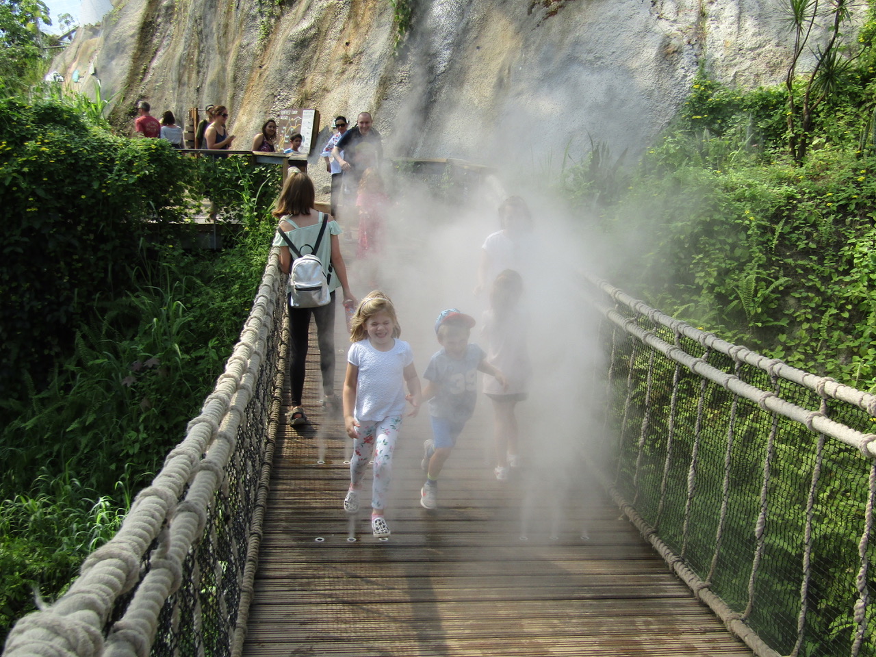 创意户外空间 | 2016 年建成的伊甸园项目-19