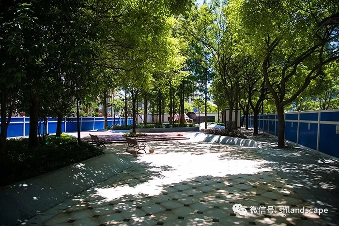 上海浦东世纪大道改造提升工程-74