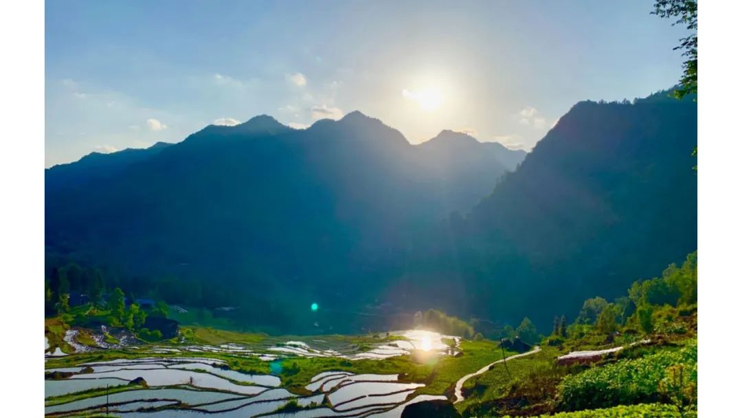 《青榭竹里》 | 即兴创作实践,重拾建筑温度-45