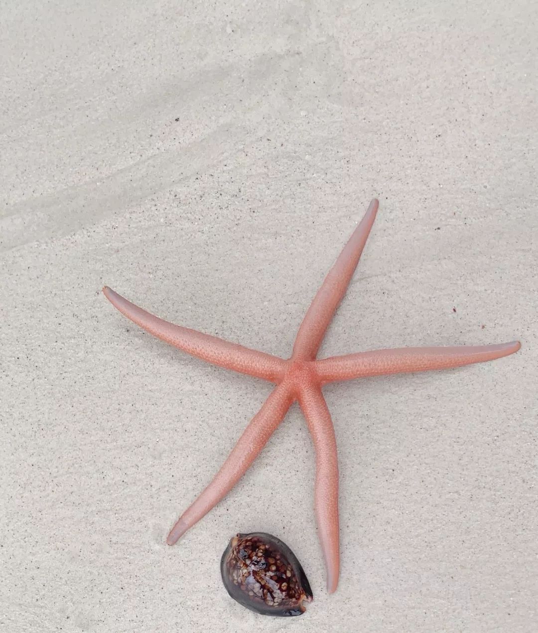 普吉岛梅雨出逃记 | PXD 厐喜设计的团建之旅-39