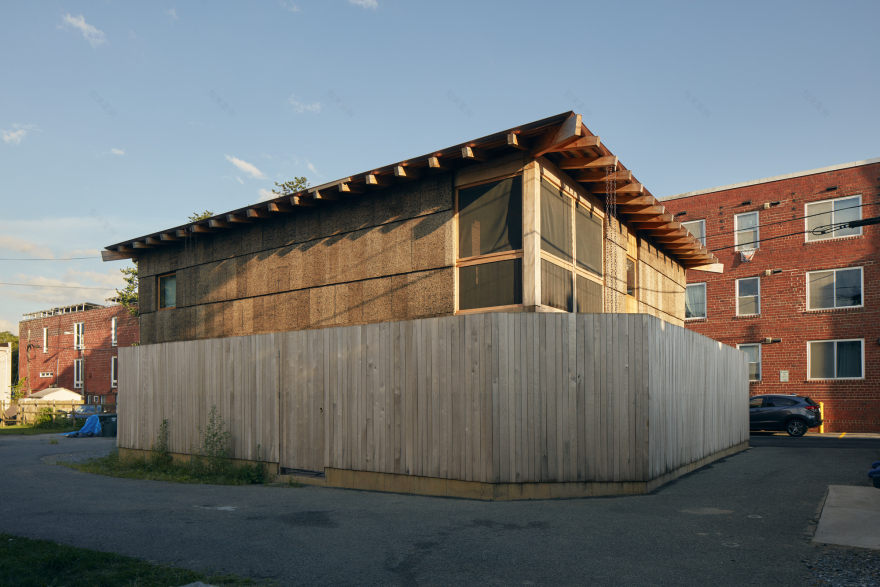 杨树丛丨美国华盛顿丨BLDUS-16