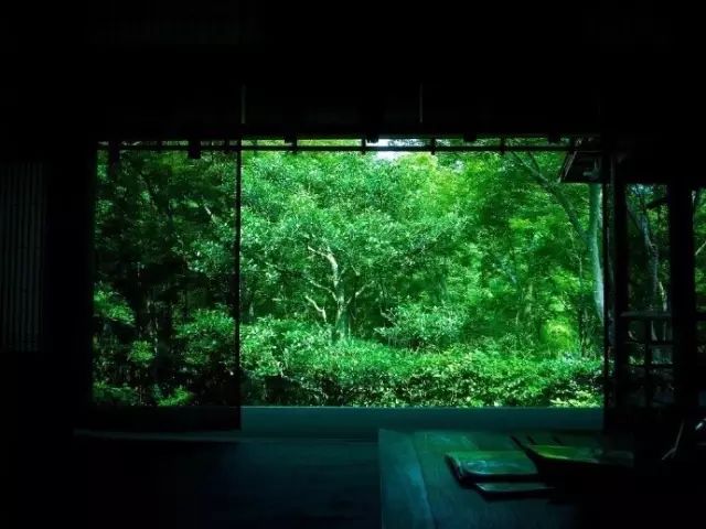 竹帘茶香 | 传统与现代的完美融合-38