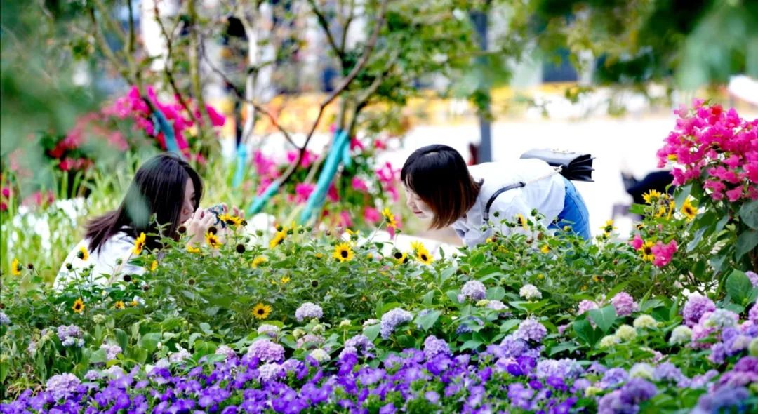 外滩秘境 | 城市花园的时空穿越-159