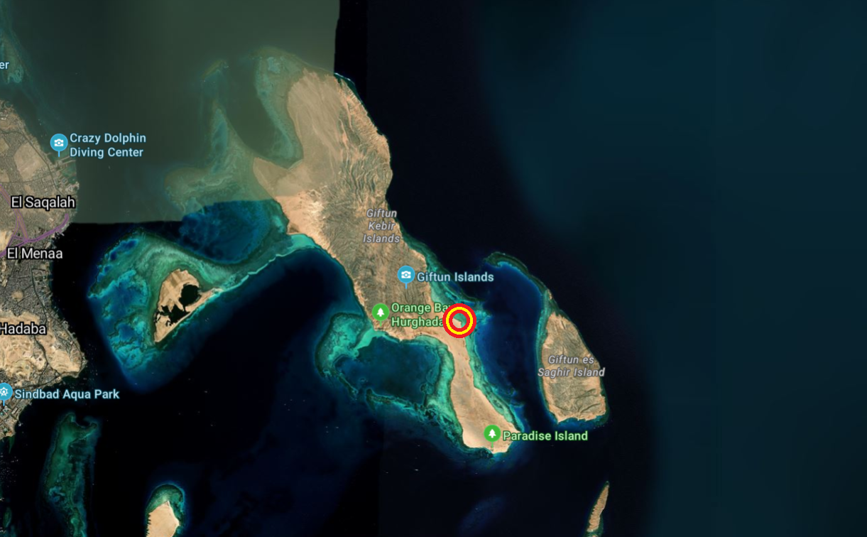 Sea Turtle Rescue & Rehabilitation Foundation-17