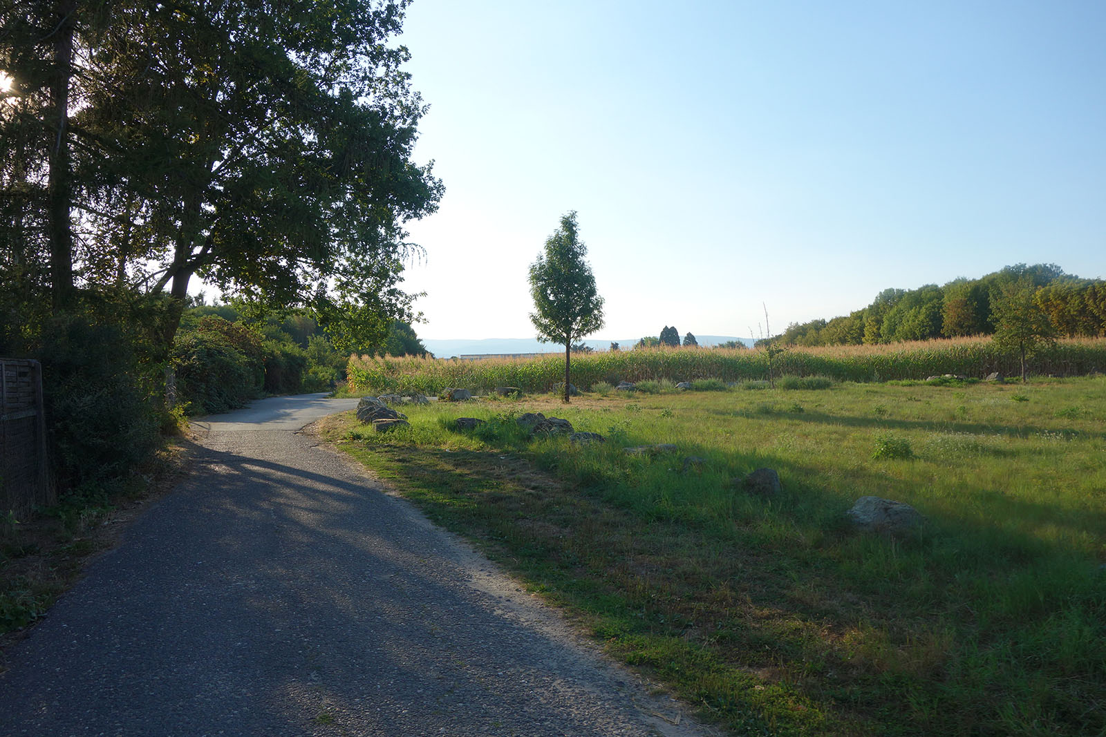 Baugebiet „Neues Wohnen in Frankfurt-Eschersheim“ - torsten becker stadtplaner-1