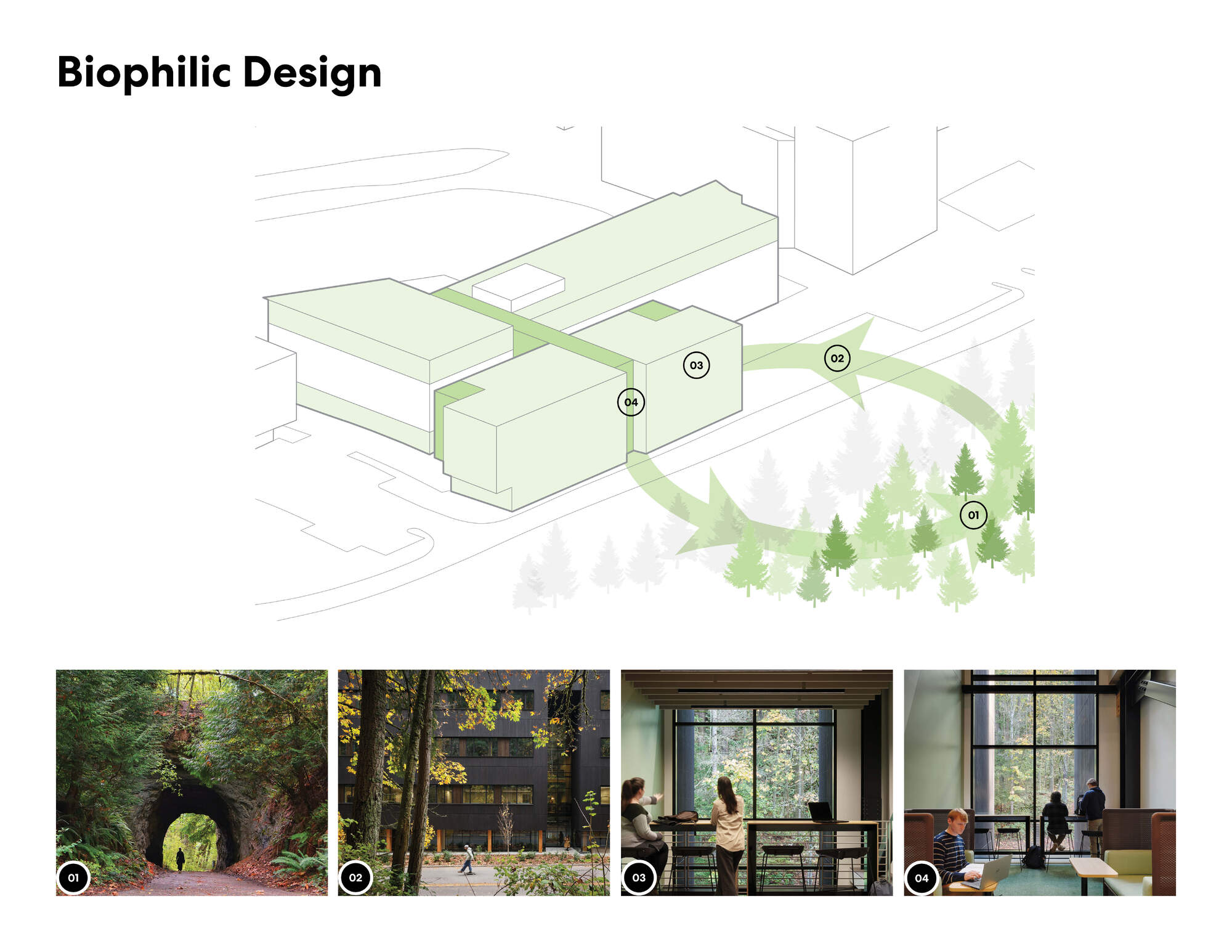 Kaiser Borsari Hall - Western Washington University / Perkins&Will-47