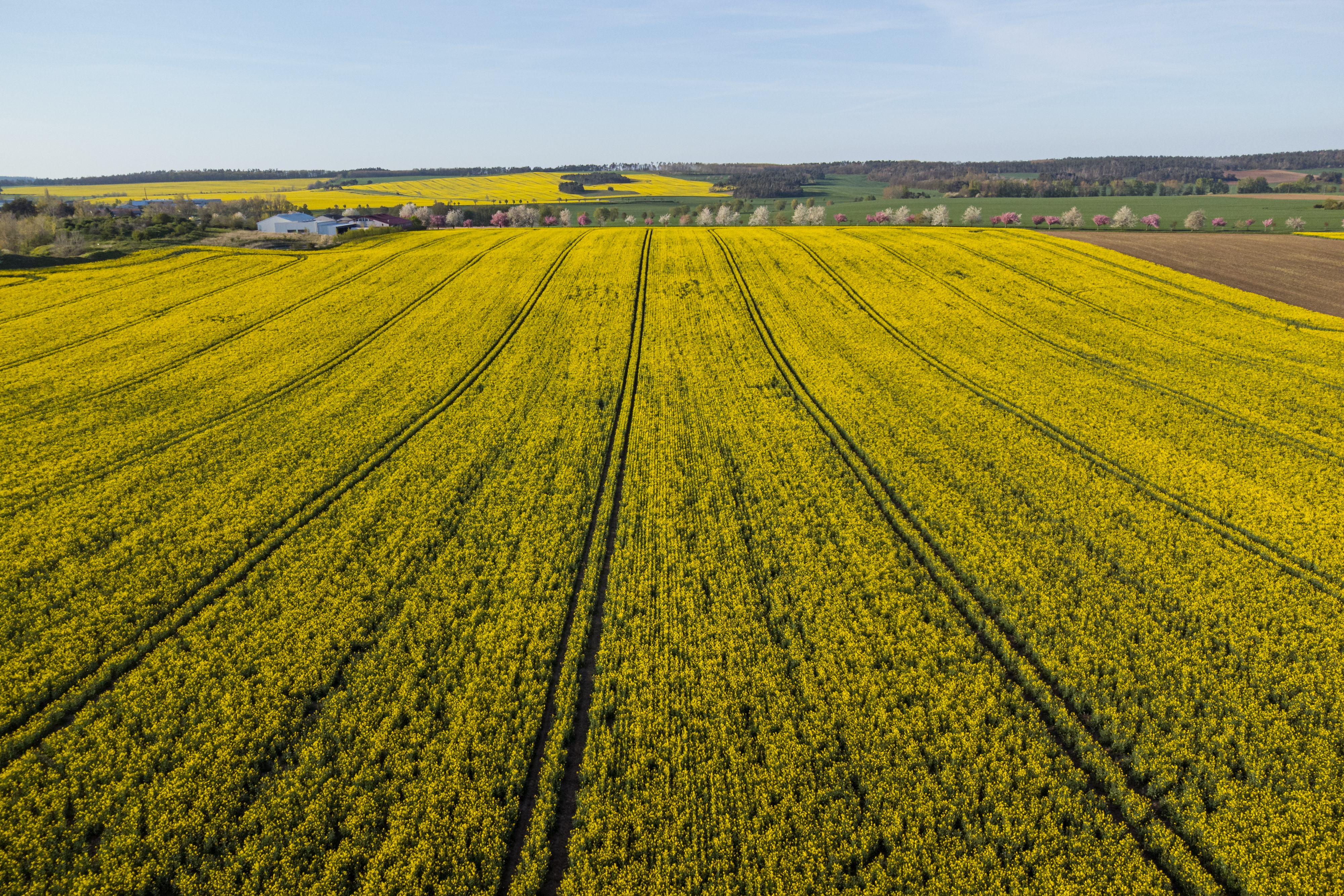哈茨山樱花春日童话景观体验丨德国-23