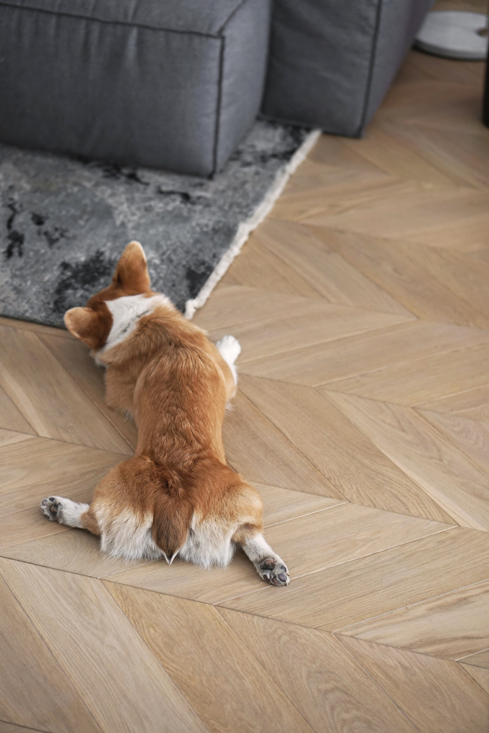 PRESNYA丨俄罗斯莫斯科丨ARTIMITRO x BALCON-22