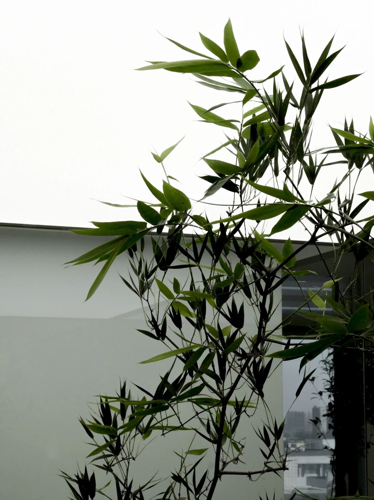 自然之栖,肆意生长丨中国北京丨北京营造清美空间设计事务所-29