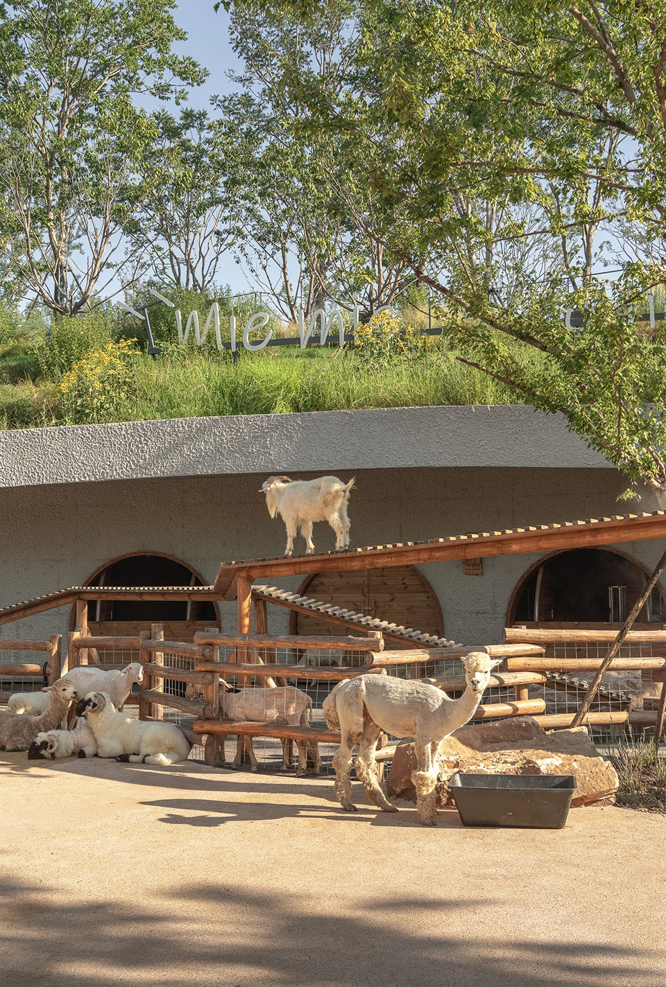 武汉麓客岛动物农场丨中国武汉丨万社设计-44