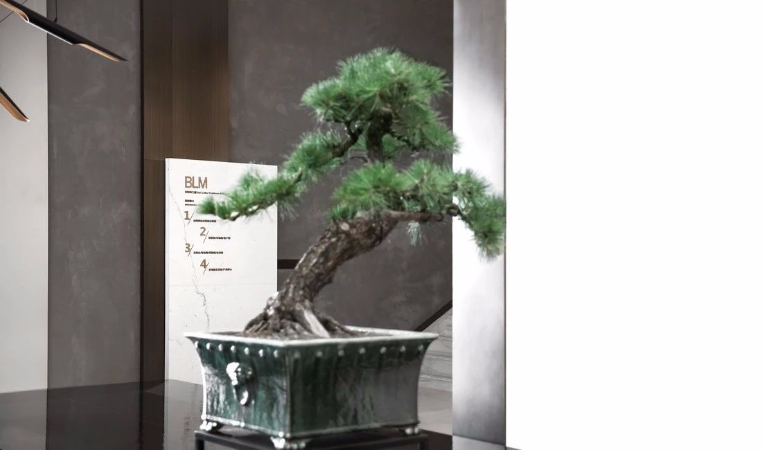 逸谷设计 | 逐窗寻幽-7