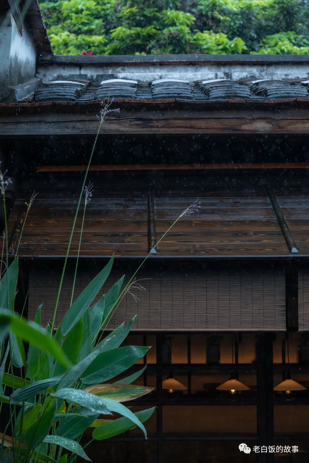 自然生机与古老建筑的碰撞——鼓浪屿二三丛-13