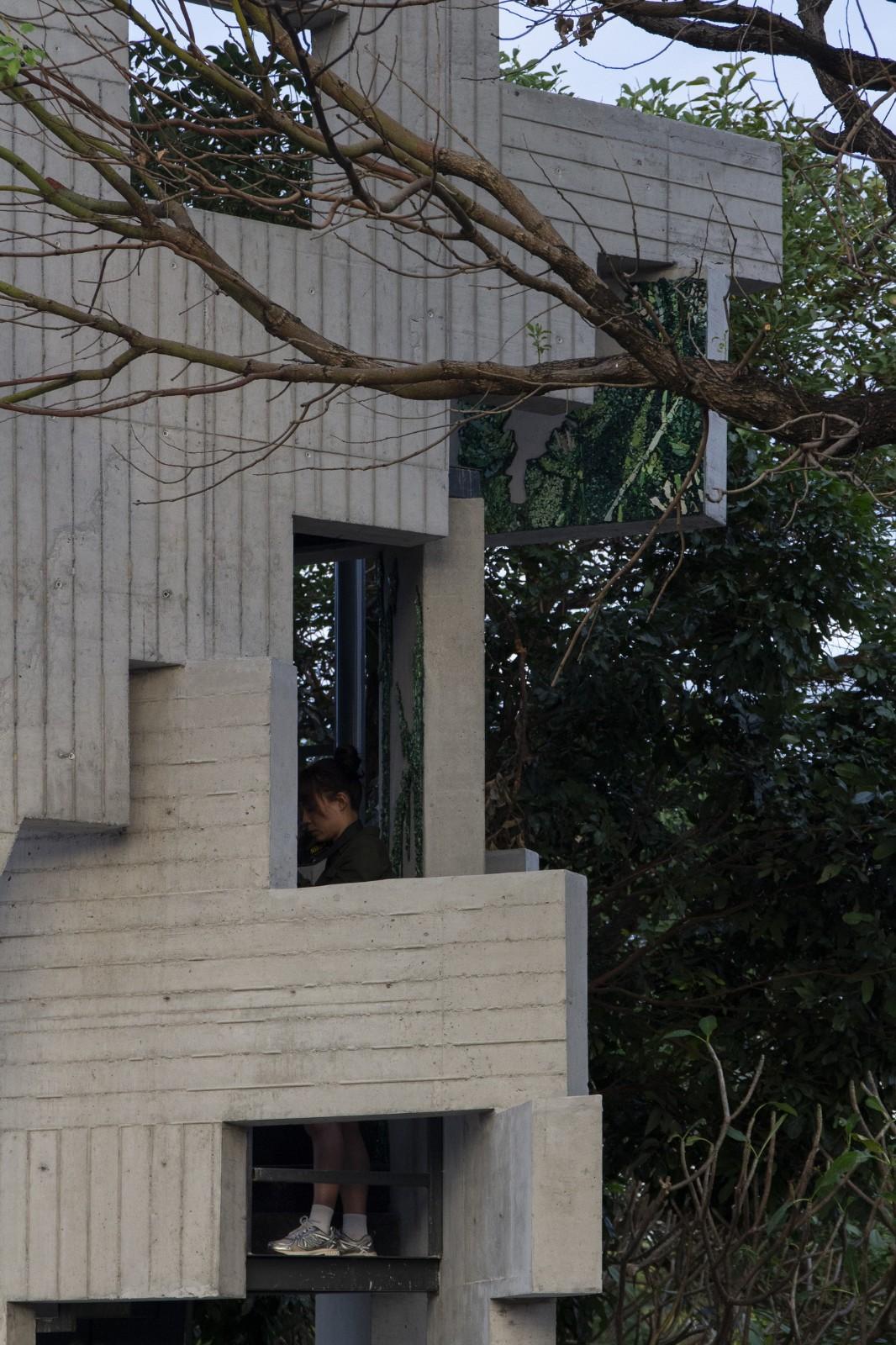 繁茂的遗迹,垂直自然塔丨中国佛山丨合造社建筑事务所-34