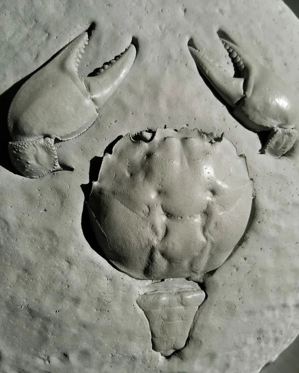 《过去的未来主义》·穿越时空的艺术探索丨中国北京丨鲍栋-21