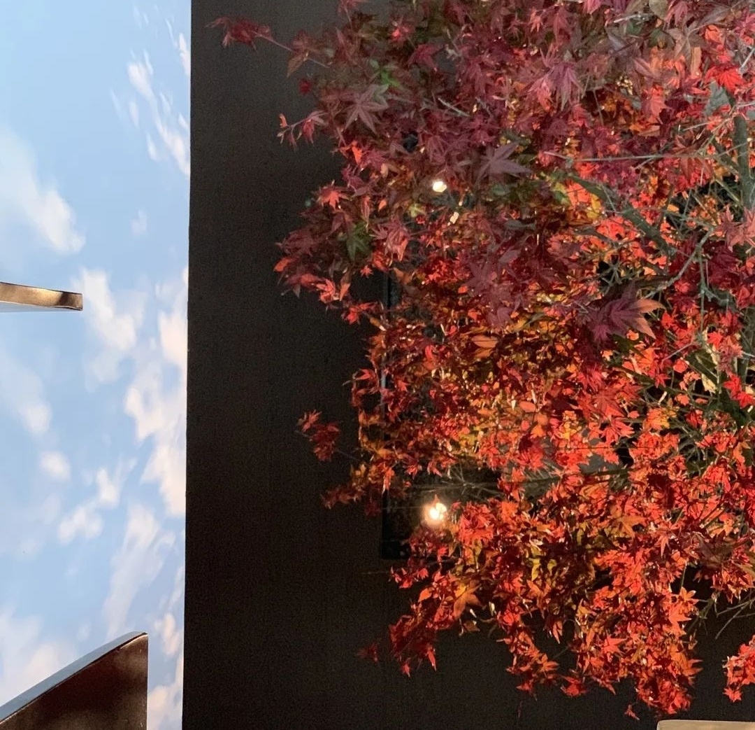 徐绮设计事务所办公室丨中国厦门丨徐绮建筑设计咨询（上海）有限公司-29