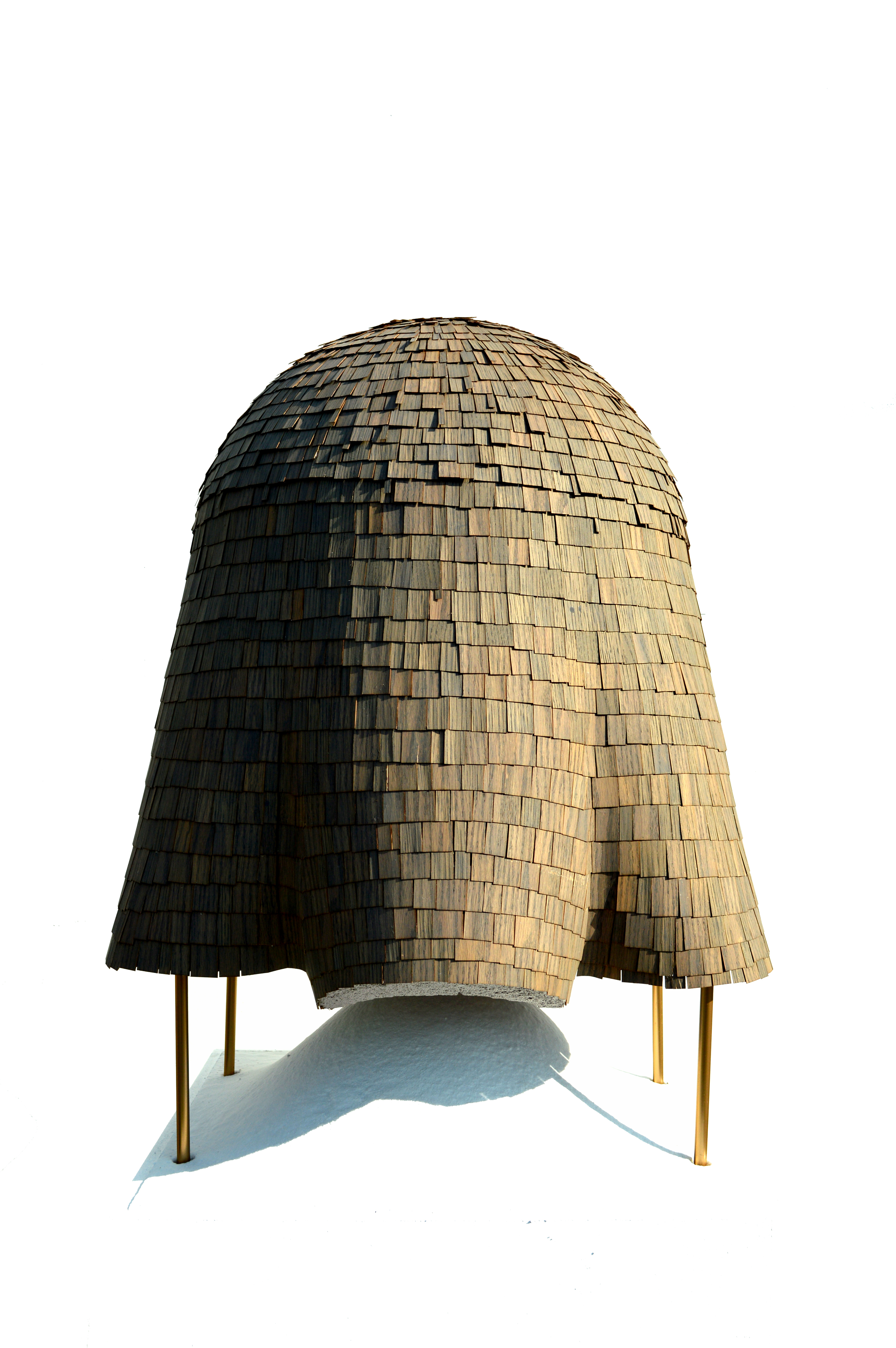 A Project Four Domes — endemicarchitecture-9