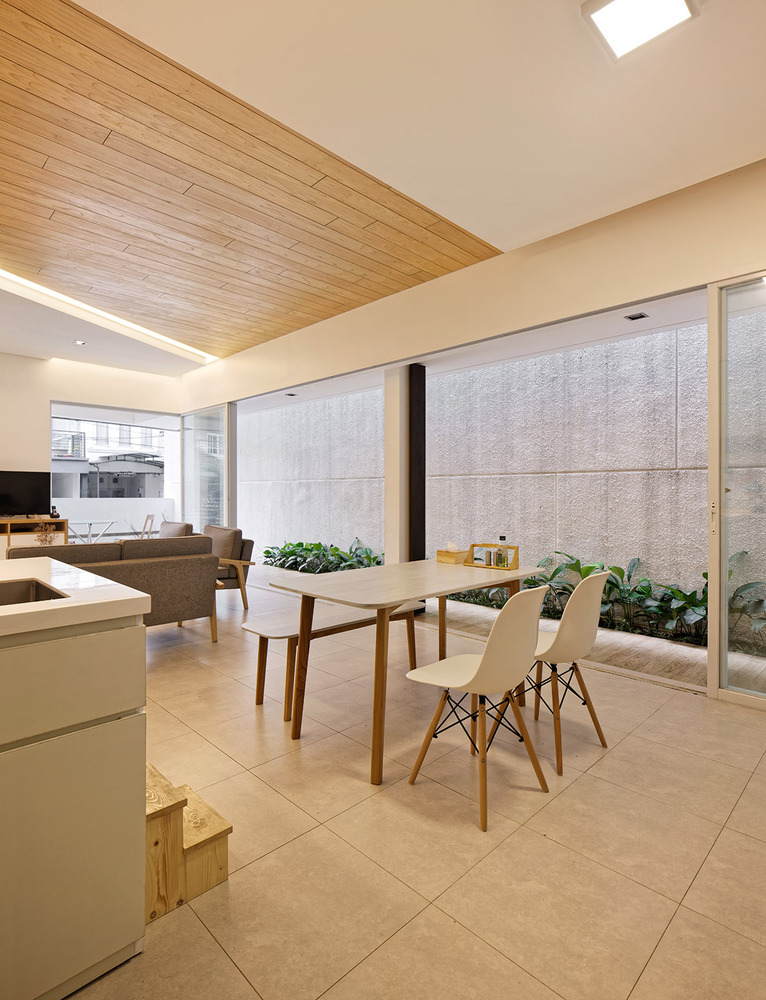 Inset House  Delution architect-63