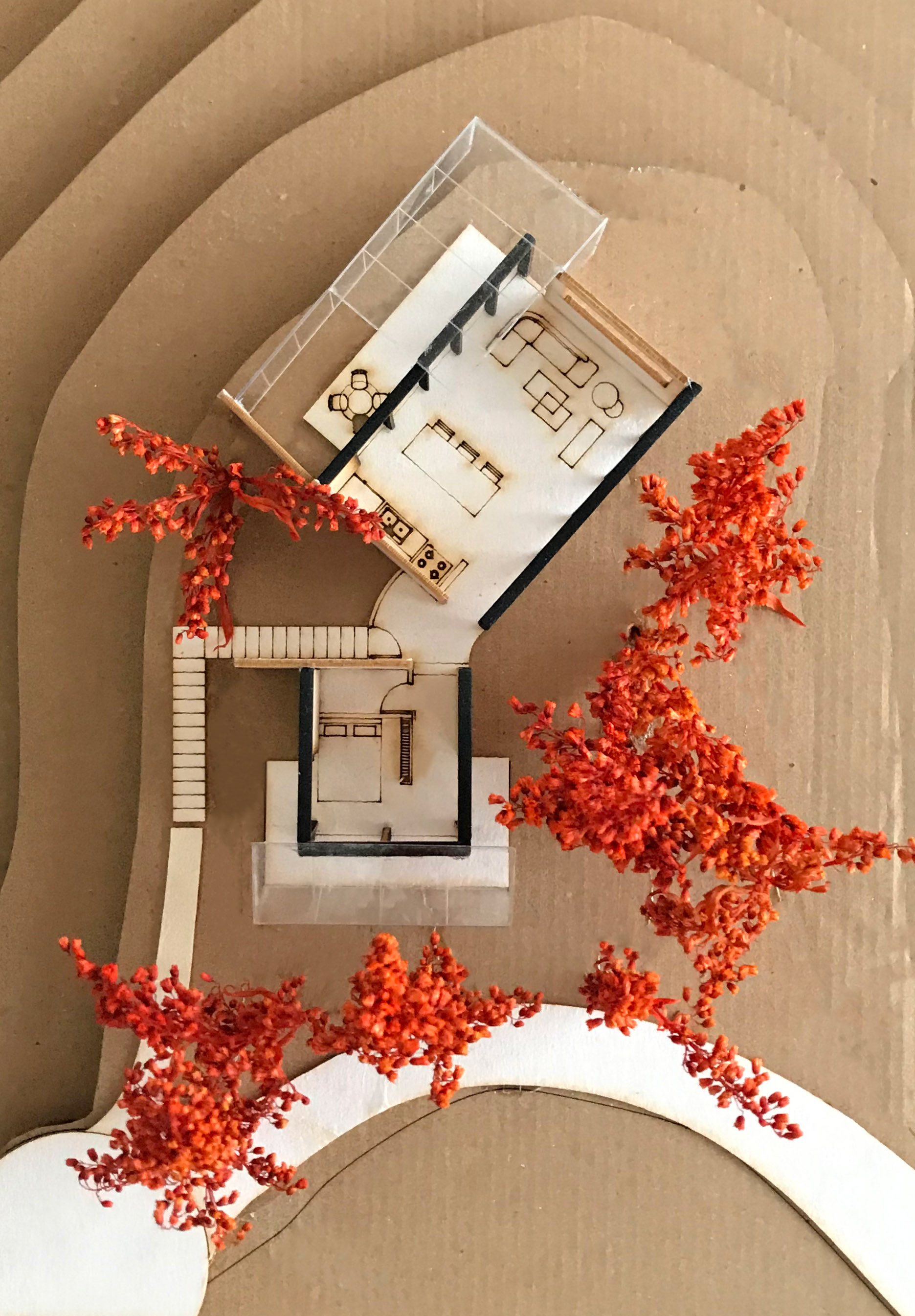 CF·项目地点·自然地点丨哥伦比亚-8