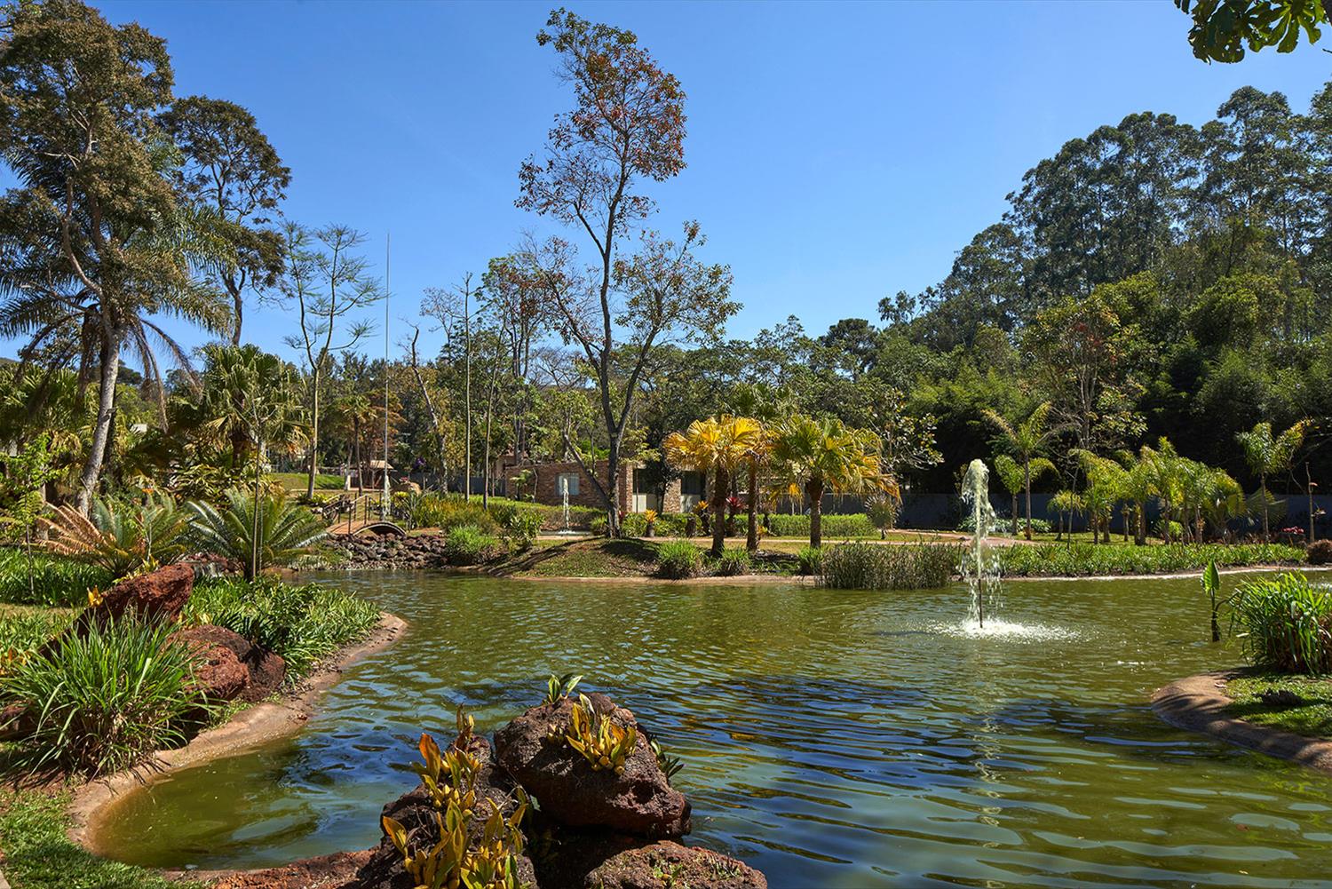 Casa das Orquídeas（巴西 MG 州 Casa das Orquídeas）-37