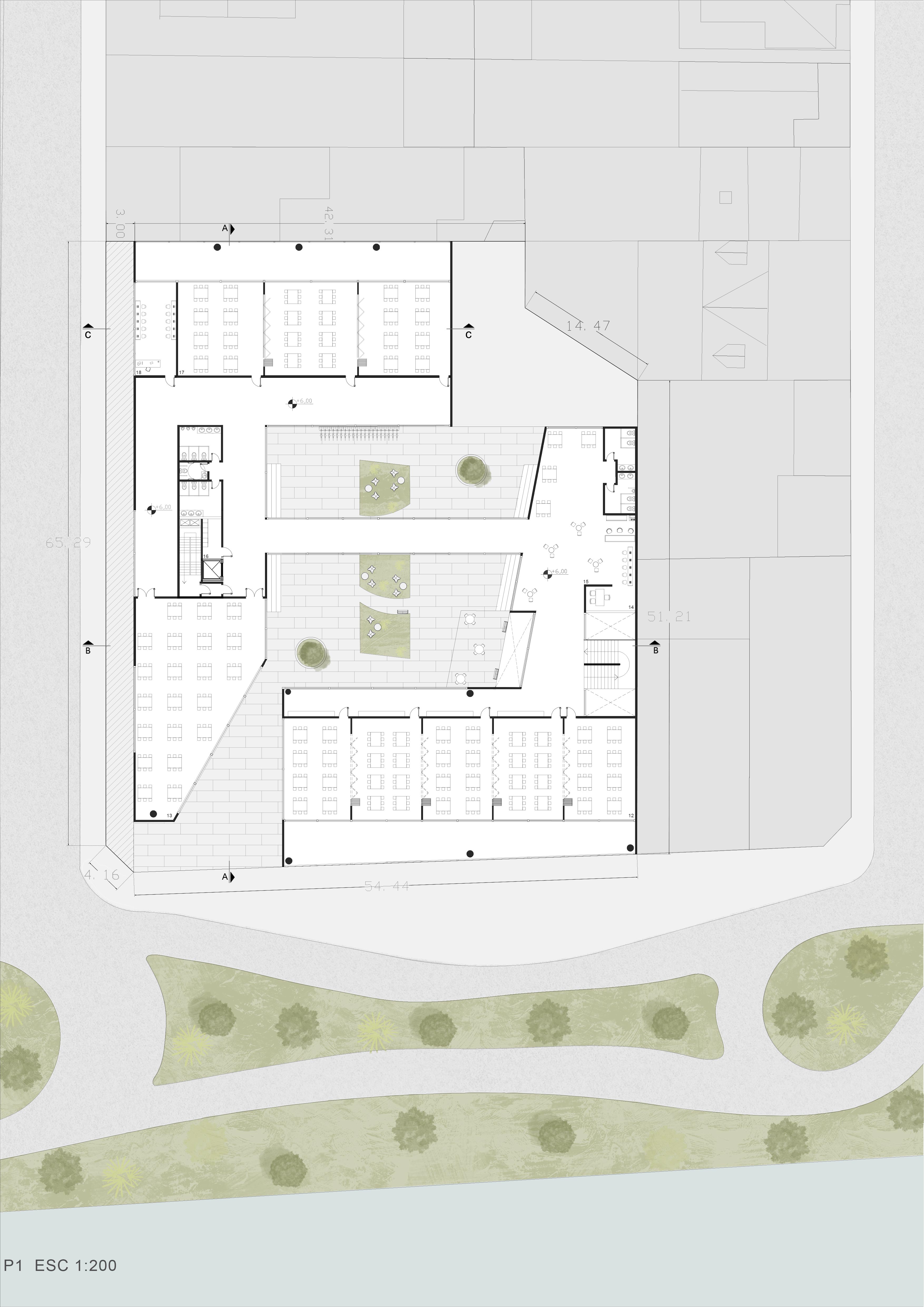 Univercidad en Tigre-9