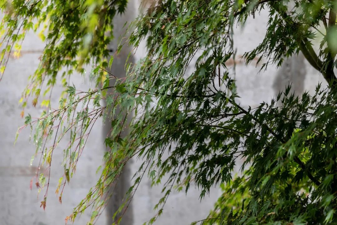 乌克兰 Shkrub 住宅丨Serhii Makhno-21