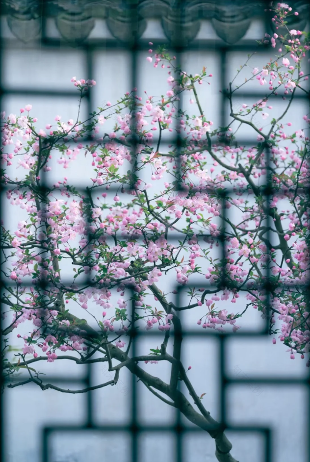 传统中式园林的现代演绎丨中国苏州丨苏州裕成园林-20